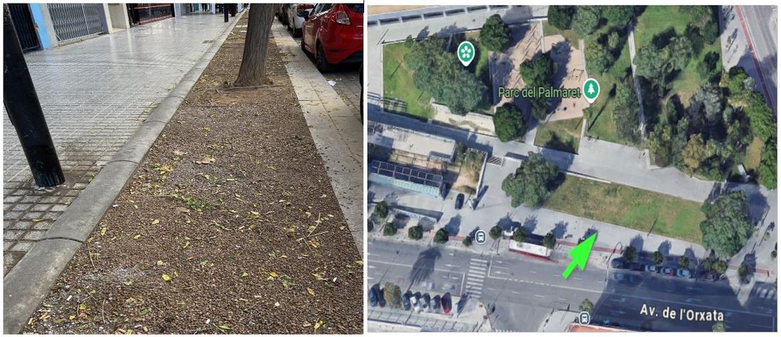 Ausiàs_March_Parc_Palmaret.jpg